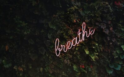 The Importance of Regulation in Relationships 